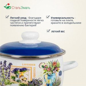 Кастрюля эмалированная сталь, 3 л, с крышкой, крышка сталь, сферический, СтальЭмаль, Горная лаванда, 6RC181M, индукция