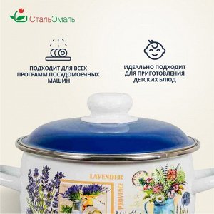 Кастрюля эмалированная сталь, 3 л, с крышкой, крышка сталь, сферический, СтальЭмаль, Горная лаванда, 6RC181M, индукция