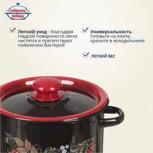 Набор посуды эмалированная сталь, 4 предмета, кастрюли 3.5,5.5 л, Сибирские товары, Рябинка 20, N20L05