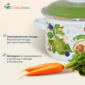 Кастрюля эмалированная сталь, 5.5 л, с крышкой, крышка сталь, цилиндрическая, СтальЭмаль, Авокадо, 6RD221M, белоснежная, индукция