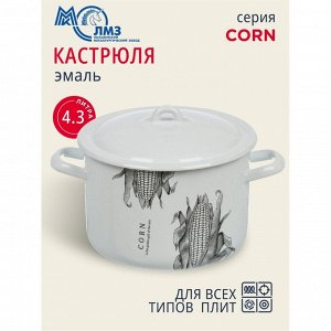 Кастрюля эмалированная сталь, 4.3 л, с крышкой, крышка сталь, цилиндрическая, ЛЗЭП, Corn, С-16141/4Э, индукция