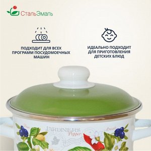 Кастрюля эмалированная сталь, 5.5 л, с крышкой, крышка сталь, цилиндрическая, СтальЭмаль, Авокадо, 6RD221M, белоснежная, индукция