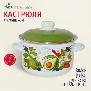 Кастрюля эмалированная сталь, 2 л, с крышкой, крышка сталь, цилиндрическая, СтальЭмаль, Авокадо, 6RD161M, белоснежная