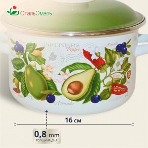 Кастрюля эмалированная сталь, 2 л, с крышкой, крышка сталь, цилиндрическая, СтальЭмаль, Авокадо, 6RD161M, белоснежная