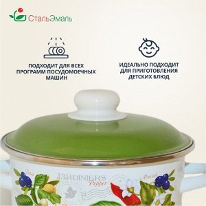 Кастрюля эмалированная сталь, 2 л, с крышкой, крышка сталь, цилиндрическая, СтальЭмаль, Авокадо, 6RD161M, белоснежная