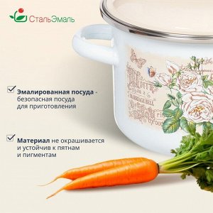 Кастрюля эмалированная сталь, 2 л, с крышкой, крышка сталь, цилиндрическая, СтальЭмаль, Мэри белоснежная, 6RD161M, индукция