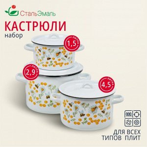 Набор посуды эмалированная сталь, 3 предмета, кастрюли 1.5, 2.9, 4.5 л, индукция, СтальЭмаль, Пчелы, 1с33