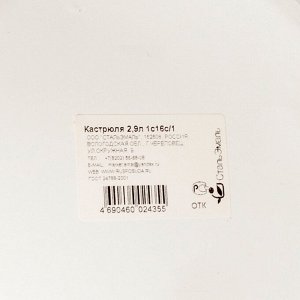Кастрюля эмалированная сталь, 2.9 л, с крышкой, крышка сталь, цилиндрическая, СтальЭмаль, 1с16с/1, в ассортименте, индукция