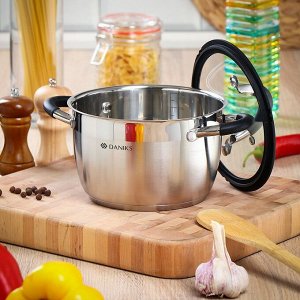 Кастрюля нержавеющая сталь, 2.7 л, крышка стекло, Daniks, Орландо, GS-01435-18CA, серебристая, индукция