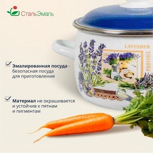 Кастрюля эмалированная сталь, 5.5 л, с крышкой, крышка сталь, сферический, СтальЭмаль, Горная лаванда, 6RC221M, индукция