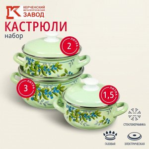 Набор посуды эмалированная сталь, 6 предметов, кастрюли 1.5, 2, 3 л, Керченский металлургический завод, Черника-1, салатовый