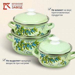 Набор посуды эмалированная сталь, 6 предметов, кастрюли 1.5, 2, 3 л, Керченский металлургический завод, Черника-1, салатовый