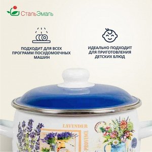 Кастрюля эмалированная сталь, 4 л, с крышкой, крышка сталь, сферический, СтальЭмаль, Горная лаванда, 6RC201M, индукция
