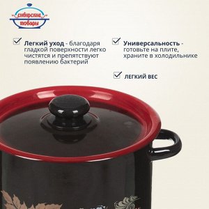 Кастрюля эмалированная сталь, 5.5 л, с крышкой, крышка сталь, цилиндрическая, Сибирские товары, С1617.38