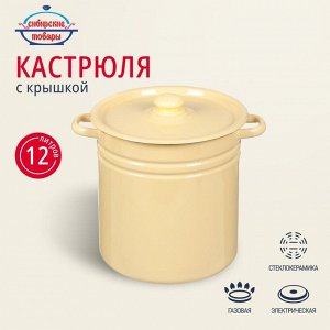 Кастрюля эмалированная сталь, 12 л, крышка сталь, цилиндрическая, Сибирские товары, С41624/.3П/СГ/3/П/3СГ, в ассортименте