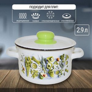 Кастрюля эмалированная сталь, 2.9 л, с крышкой, крышка сталь, цилиндрическая, Appetite, Свежая зелень, 1с16с/1, индукция