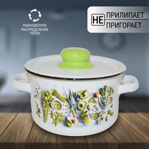 Кастрюля эмалированная сталь, 2.9 л, с крышкой, крышка сталь, цилиндрическая, Appetite, Свежая зелень, 1с16с/1, индукция