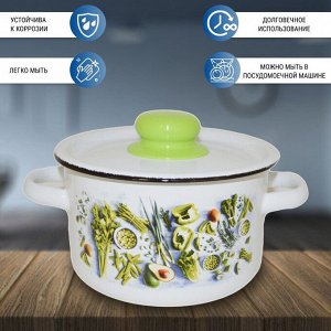 Кастрюля эмалированная сталь, 2.9 л, с крышкой, крышка сталь, цилиндрическая, Appetite, Свежая зелень, 1с16с/1, индукция