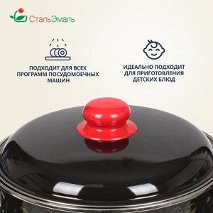 Кастрюля эмалированная сталь, 5.5 л, с крышкой, крышка сталь, цилиндрическая, СтальЭмаль, Рябина, 7RD221M/7RD221S, в ассортименте, индукция