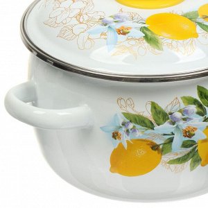 Кастрюля эмалированная сталь, 2 л, крышка сталь, сферический, Сибирские товары, Лимоны, 3MC161P, индукция