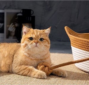 Лежанка кошачья плетёная с клубком, 40 см