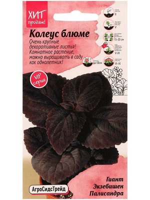 Семена цветов Колеус блюме "Гиант Экзебишен Палисандра", 10 шт