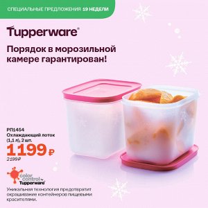 Охлаждающий лоток (1,1 л), 2 шт.