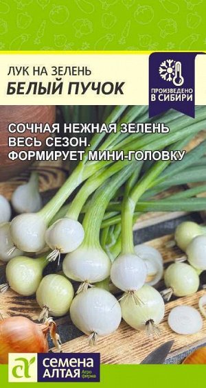 Лук на зелень Белый Пучок/Сем Алт/цп 0,3 гр.