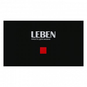 LEBEN Отпариватель ручной, 930Вт, 17гр/мин, объем 160мл