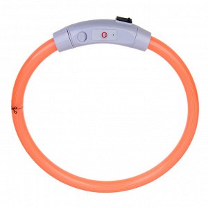 VETTA Ошейник светящийся с USB зарядкой, поливинилхлорид, ABS пластик, 52,5 см