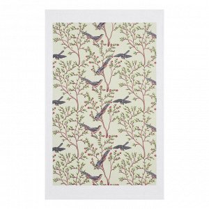 PROVANCE Birds Полотенце кухонное махровое, 38х63см, 100% хлопок