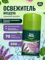 Мастер Фреш Сменный аэрозоль &quot;Пачули и розовое дерево&quot; 250 мл