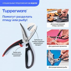 Ножницы «Диско» для птицы