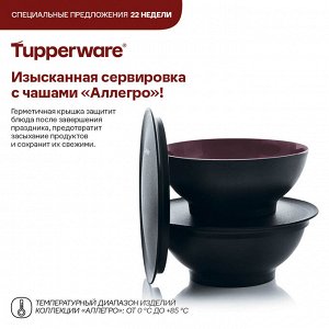 Чаша «Аллегро» (275 мл), 2 шт.