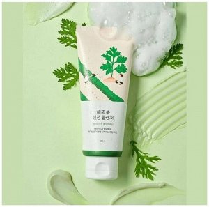 Успокаивающая пенка для умывания с полынью - Round Lab Mugwort Calming Cleanser, 150 ml