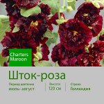 Шток роза Марун р9