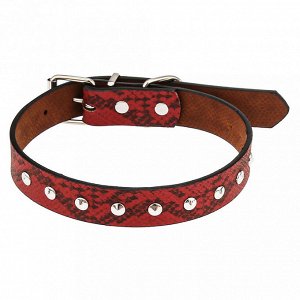 "Пэт тойс (Pet toys)" Ошейник для собаки "Рептилия" 2,4х51см, металлическая застежка, под кожу, металл декор, на картоне, цвета в ассортименте: бордовый, синий, черный, черно-белый (Китай)