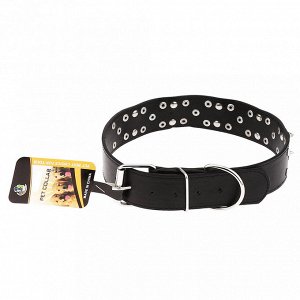"Пэт тойс (Pet toys)" Ошейник для собаки "Шипы, клепки" 3,9х68см, металлическая застежка, под кожу, металл декор, на картоне, цвета в ассортименте: красный, синий, черный, темно-коричневый (Китай)