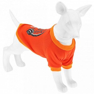 "Пэт тойс (Pet toys)" Одежда для собаки "Толстовка" "Диджей" с принтом, р-р L, длина спинки 32см/обхват груди 42см/обхват шеи 26см, цвет-оранжевый, полиэстер/флис (Китай)