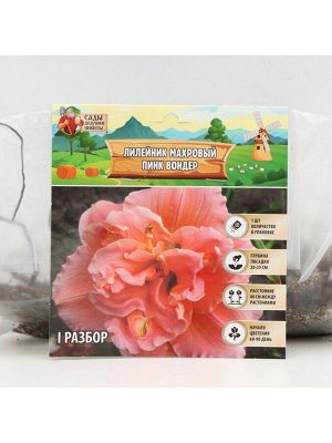 Лилейник "Double Pink Wonder", р-р I, 1 шт, Весна 2025