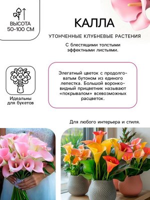 Калла «Смесь», клубнелуковица в пакете с перфорацией, р-р 10/12, 5 шт.