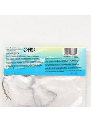 Флокс «Оранж Перфекшн» метельчатый, корневище в пакете с торфогрунтом, р-р I, 2 шт.