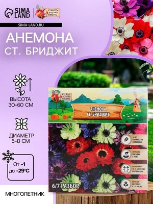 Анемона "Ст. Бриджит", многолетник, луковица, р-р 5/6, 10 шт.
