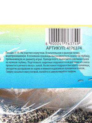 Лилия Восточная «Чилл Аут», луковица в пакете с перфорацией, р-р 14/16 3 шт.
