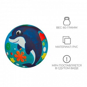 Мяч детский ZABIAKA «Дельфинчик», d=22 см