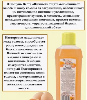 BECTA Шампунь 1 литр 2 х 1 Яичный для сухих и поврежденных волос