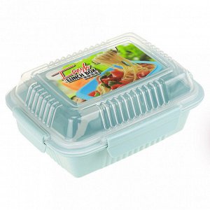Ланч-бокс для продуктов пластмассовый "Фреш" 20,5х15,5см h8,5см, 2 отделения 0,9л, с ложкой 13см, крышка прозрачная, с клипсами, с уплотнителем, цвета в ассортименте: персиковый, зеленый, голубой (Кит
