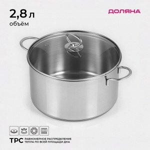Кастрюля Доляна «Грейт», 2.8 л, капсульное дно, индукция, нержавеющая сталь