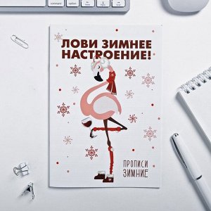 Прописи Зимняя коллекция "Лови зимнее настроение!" , 12 листов