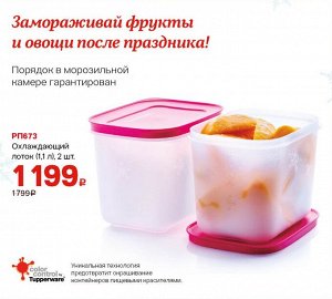 Охлаждающий лоток™ (1,1 л), 2 шт. - Tupperware®.